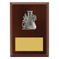 Peak Plaque Science