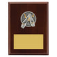 Peak Plaque Ballet