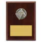 Peak Plaque Pool / Snooker
