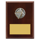 Peak Plaque Pool / Snooker