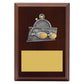 Peak Plaque Swim