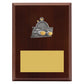 Peak Plaque Swim