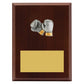 Peak Plaque Boxing