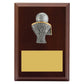 Peak Plaque Basketball