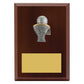 Peak Plaque Basketball