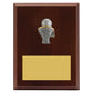Peak Plaque Basketball