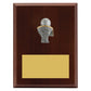 Peak Plaque Basketball
