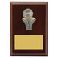 Peak Plaque Netball
