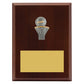 Peak Plaque Netball