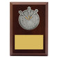 Peak Plaque Darts