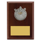 Peak Plaque Darts