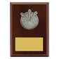 Peak Plaque Darts