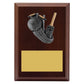 Peak Plaque Cricket