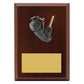 Peak Plaque Cricket