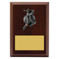 Plaque - Male Batting