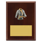 Peak Plaque Karate
