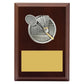 Peak Plaque Badminton