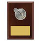 Peak Plaque Badminton