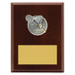 Peak Plaque Badminton