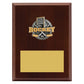 Peak Plaque Ice Hockey