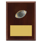 Peak Plaque American Football
