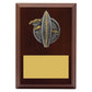 Peak Plaque Surfing