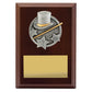 Peak Plaque Jazz / Tap