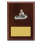 Peak Plaque Go Kart