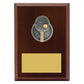 Peak Plaque Table Tennis
