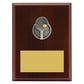 Peak Plaque Table Tennis