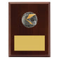 Peak Plaque Motocross