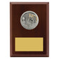 Peak Plaque Water Polo