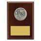 Peak Plaque Water Polo