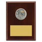 Peak Plaque Water Polo