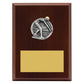 Peak Plaque - Male Swim