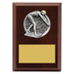 Peak Plaque - Female Swim