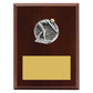 Peak Plaque - Female Swim