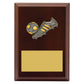 Peak Plaque Football