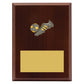 Peak Plaque Football