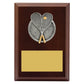 Peak Plaque Squash