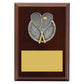 Peak Plaque Squash