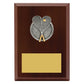 Peak Plaque Squash