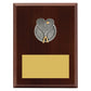 Peak Plaque Squash