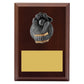 Plaque - Wicketkeeper