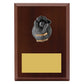 Plaque - Wicketkeeper