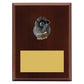 Plaque - Wicketkeeper