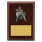 Plaque - Male Fielding