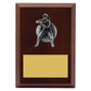 Plaque - Female Fielding