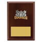 Peak Plaque Dance
