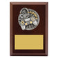 Peak Plaque Esports